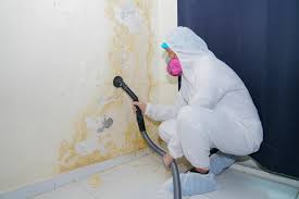 Best Comprehensive Air Testing for Mold Contaminants in Spencer, IN